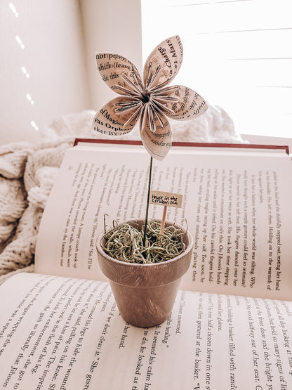 a potted star-shaped book page paper flower sitting on an open book - Novel Blossoms Co