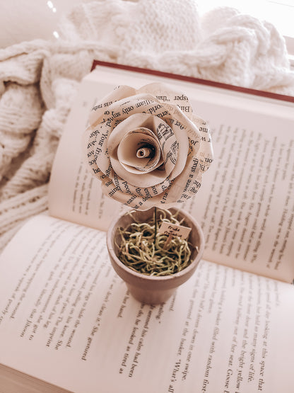 a potted book page paper rose sitting on an open book - Novel Blossoms Co