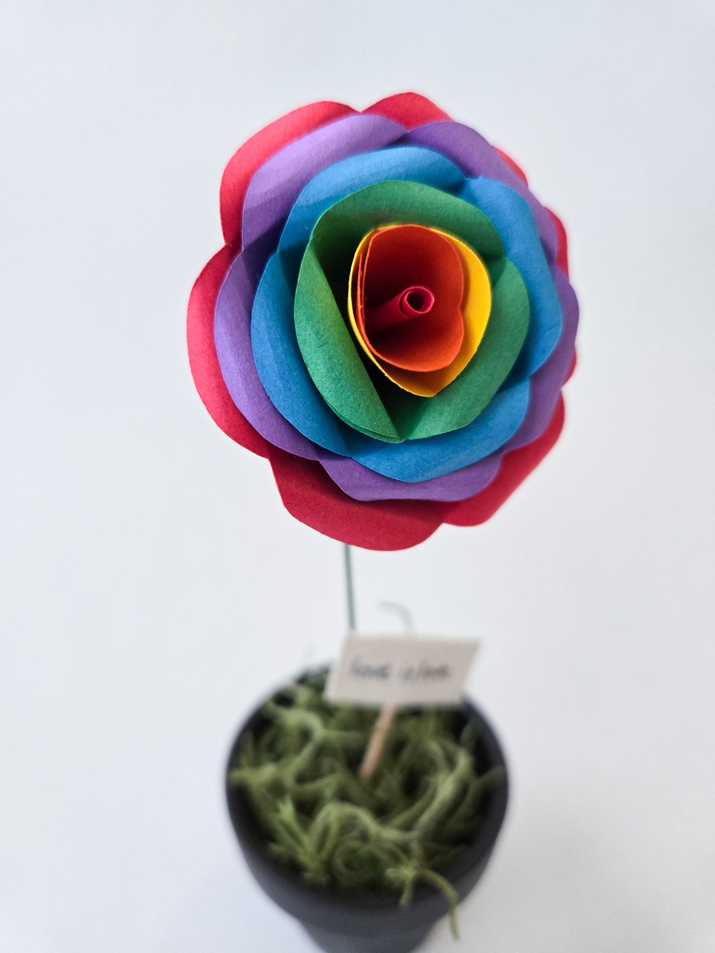 Rainbow paper roses in small pots - Novel Blossoms Co