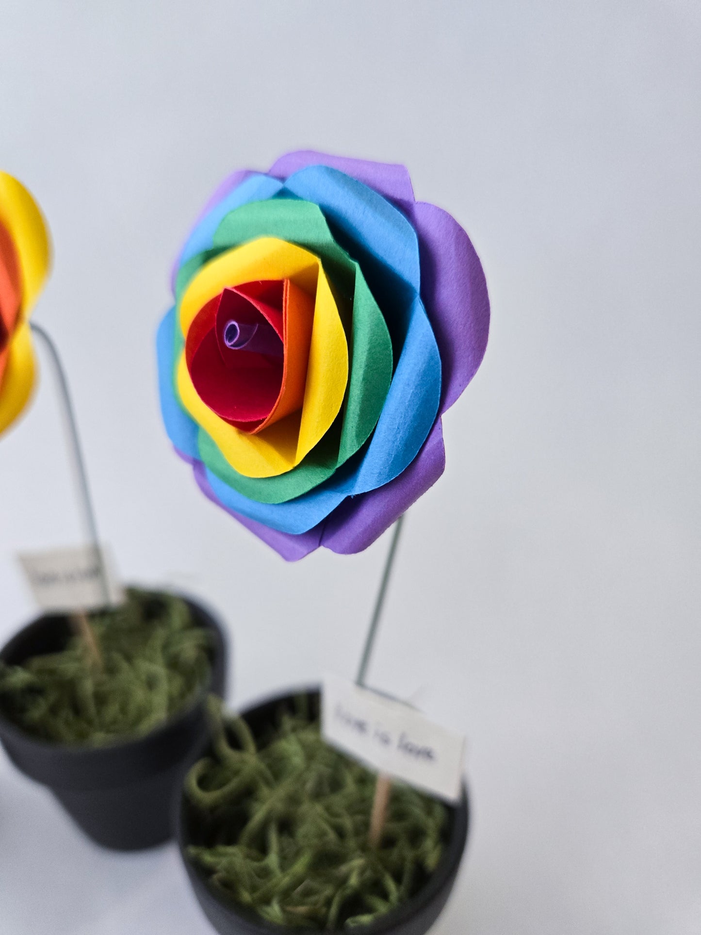 Rainbow paper roses in small pots - Novel Blossoms Co