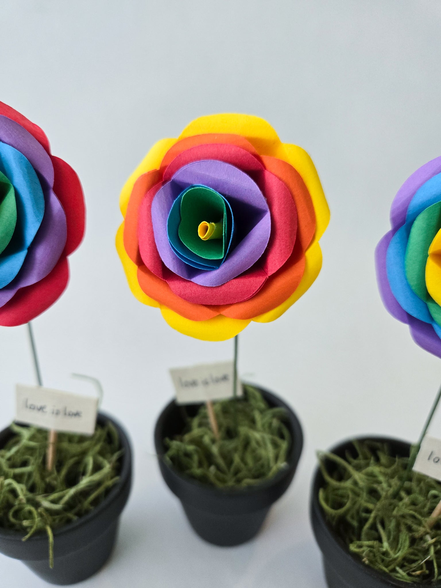 Rainbow paper roses in small pots - Novel Blossoms Co